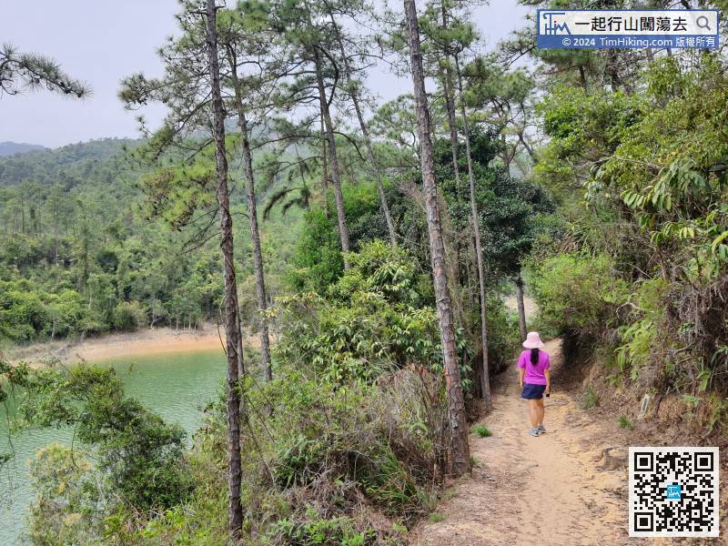 The north section trail of rounding reservoir is the MacLehose Trail in the past, so the construction is very complete.