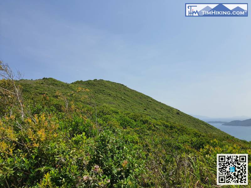 一起行山闖蕩去 龍蝦灣郊遊徑