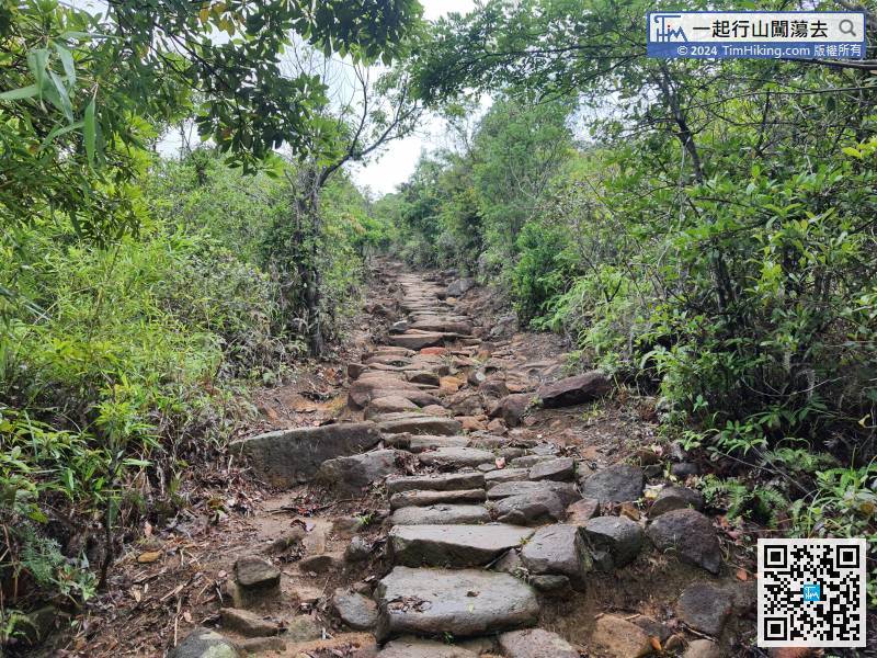Leave Bamboo Tunnel, and continue along the big stone-level trail to Mau Ping.
