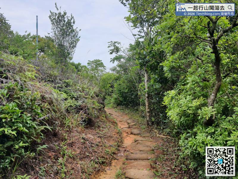 Keep left at this time and turn into Tai Shui Tseng Ancient Trail.