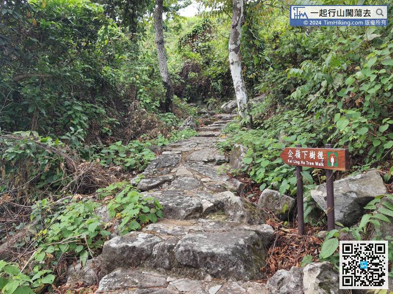 Hikers can also find a small Kei Ling Ha Tree Walk sign at the entrance.