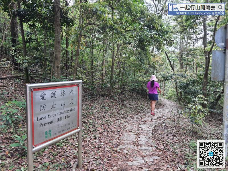 This section of the trail was repaired by the Shatin Council.