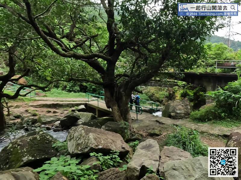 After watching Lin Yuen Toi Falls, carefully climb back to the small bridge,