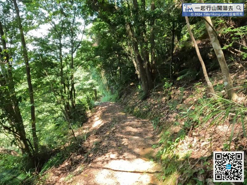 The downhill trail is very easy to walk,