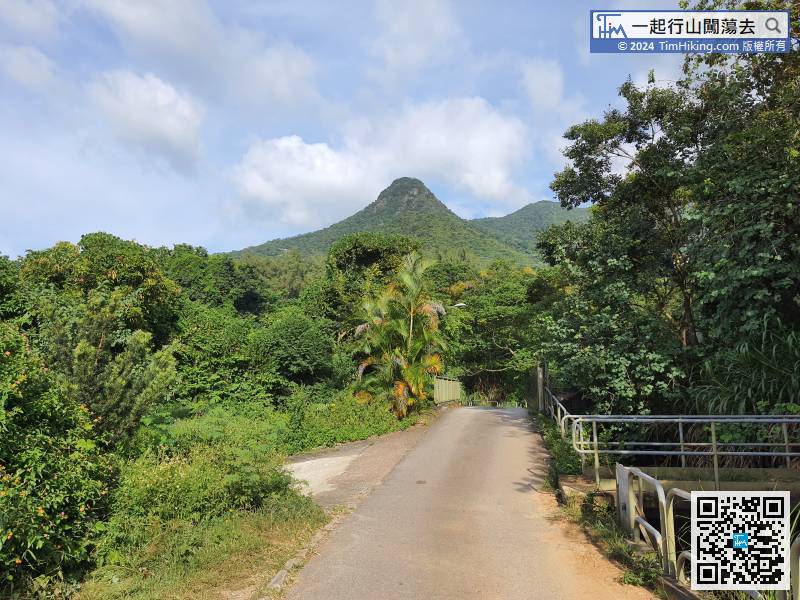 After a break, keep moving forward, the front is Kwun Yam Shan in Kadoorie Farm,