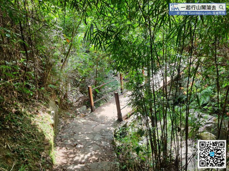 河背的竹林大約只有十幾廿米，