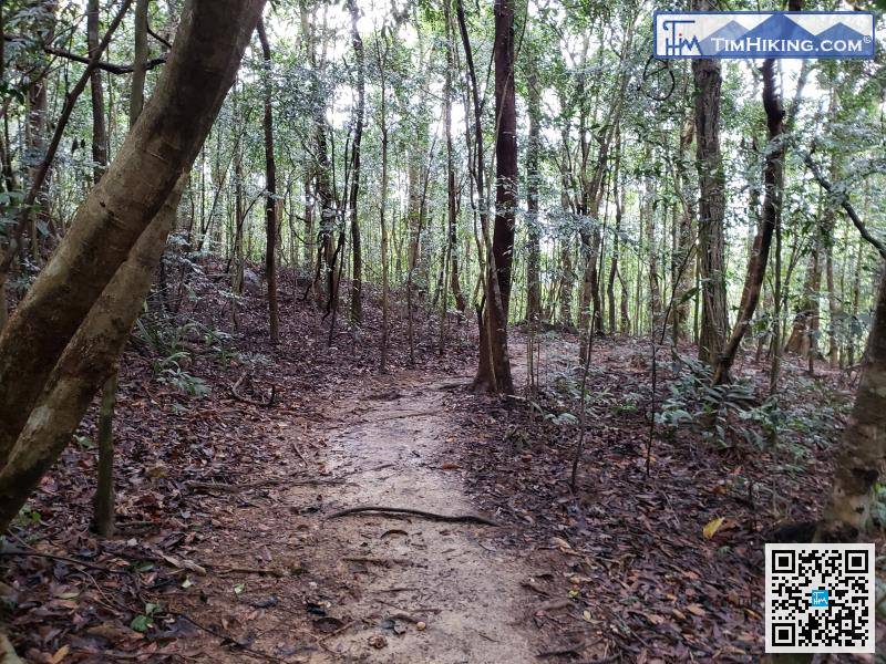 Walking between the mountains and forests, there are plenty of trees, even in the hot summer.