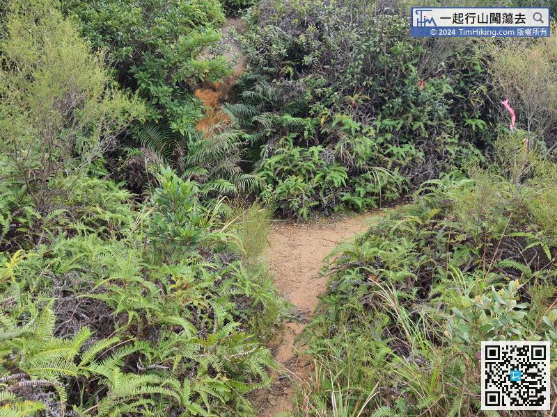 Falling to the bottom is a crossroad, climbing straight to Hung Fai Chai, turning right is the same way down the mountain,