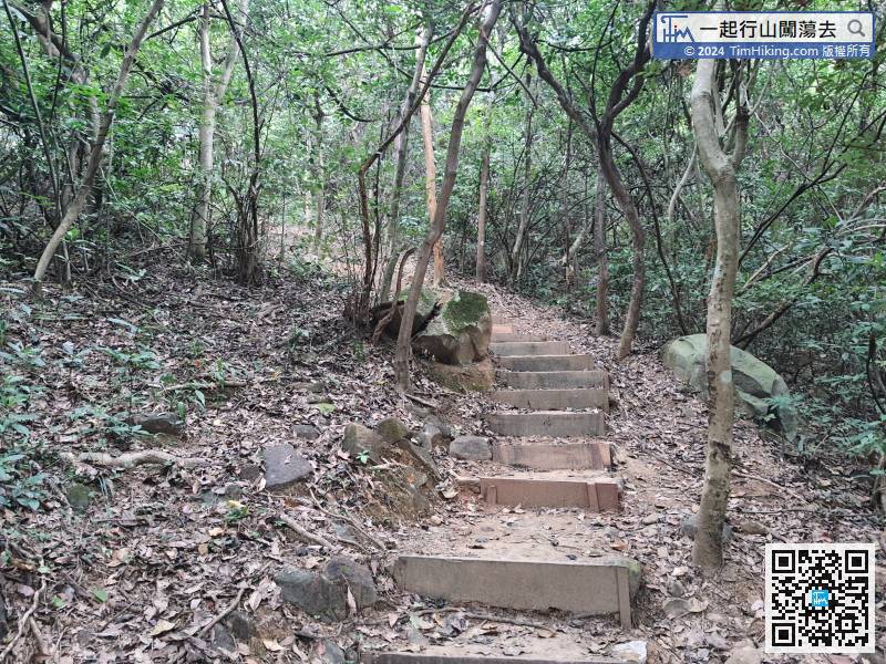 Stepping into the mountain trail, there are mud steps along the road,