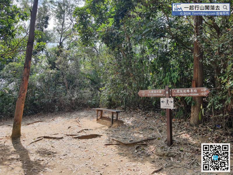 大约行10分钟便可登顶，山顶的位置于丛林内，有路牌，有小木凳，但也没有标高柱。