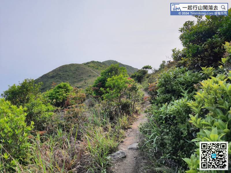 This is the end of the Main Peak Route. First, go back to Qiniang Mountain Main Peak along the road,