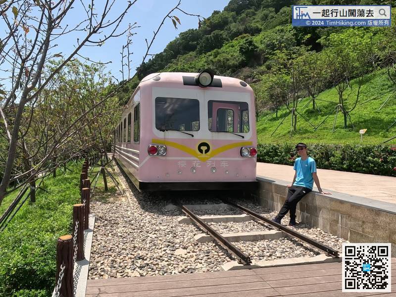 樱花列车的外形似是一架山顶缆车，
