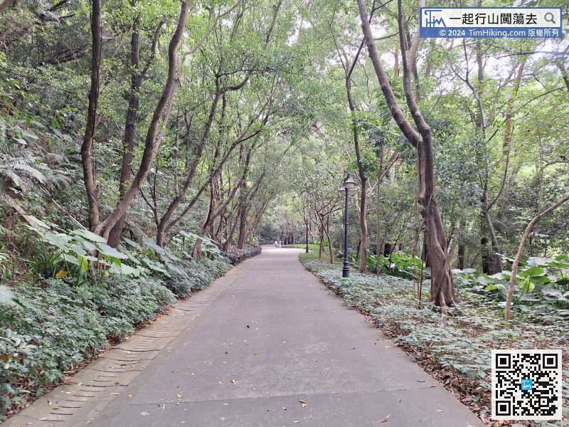 Pan Shan Road is a large slope to the top. The slope is only gentle and it is very easy to walk.