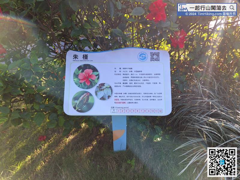 There are many information plates about plants around.