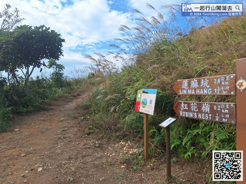 距紅花嶺只餘下200米，