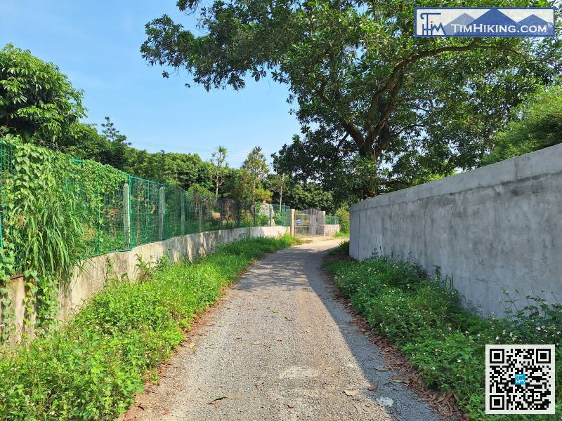 Return to the normal road,