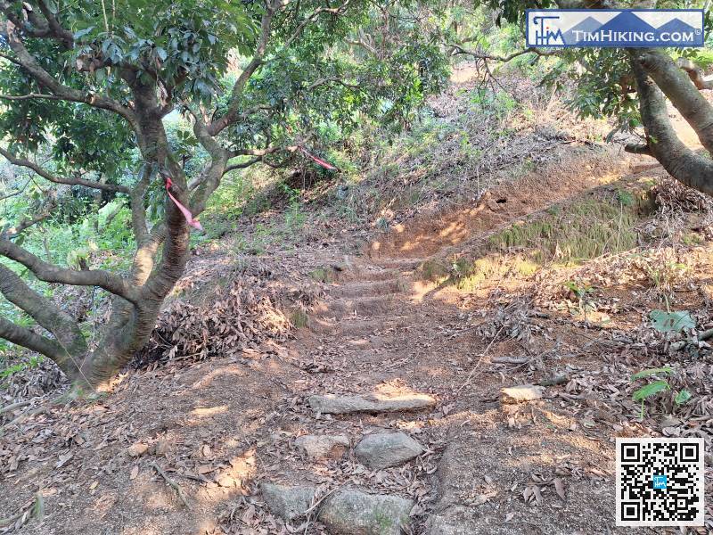 This section has an official trail,