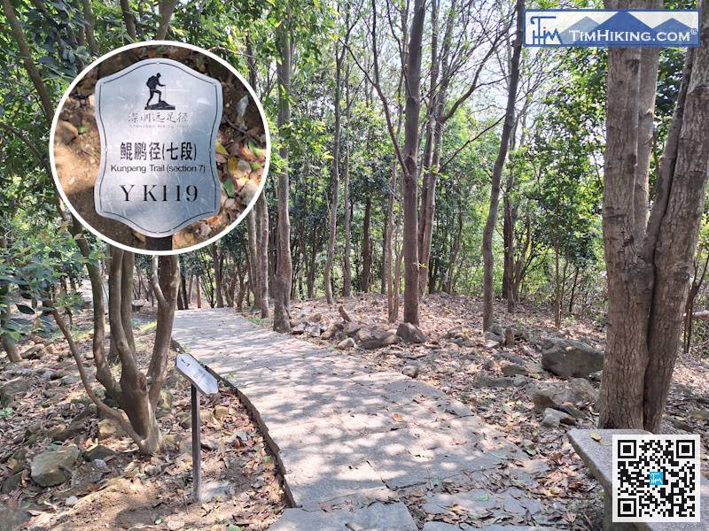 A few moments later, we arrived at distance post YK119.