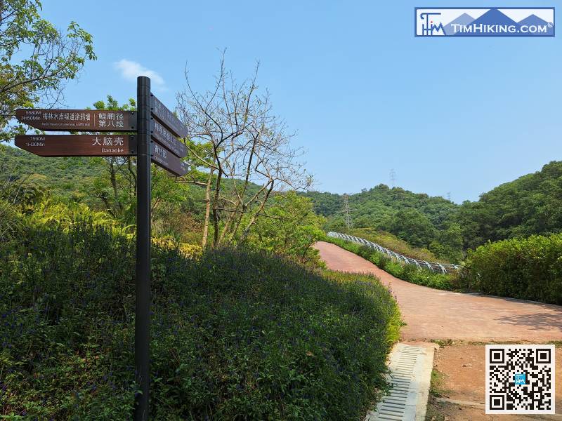 山徑底仿如一個大公園，