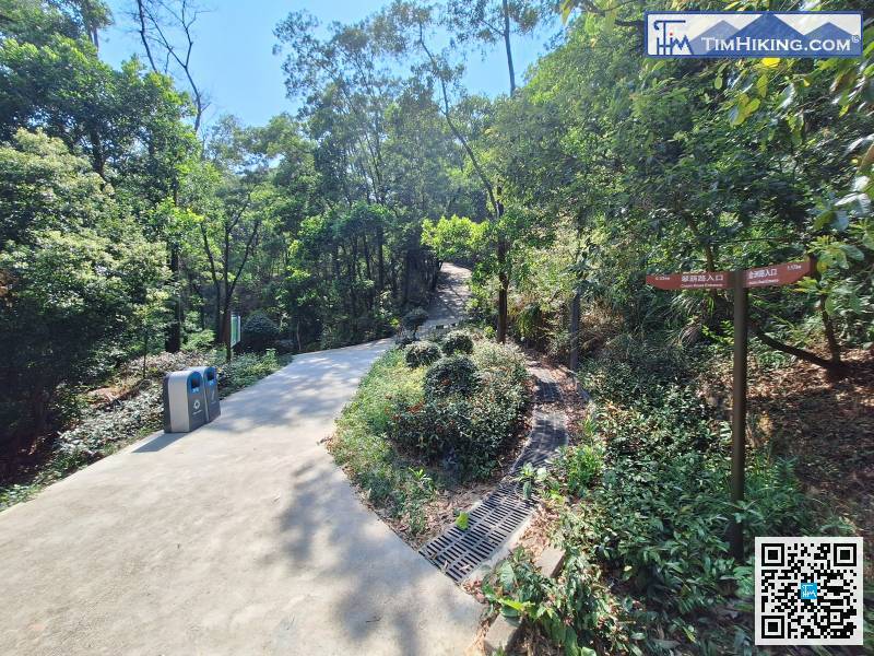 After descending the mountain, you will come to the neat Park Road.