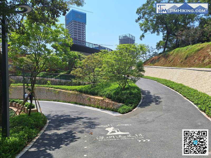 After viewing the scenery, return to the intersection you just came from.