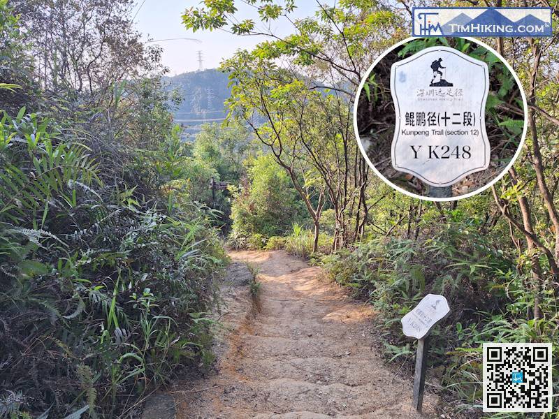 来到标距柱YK248，