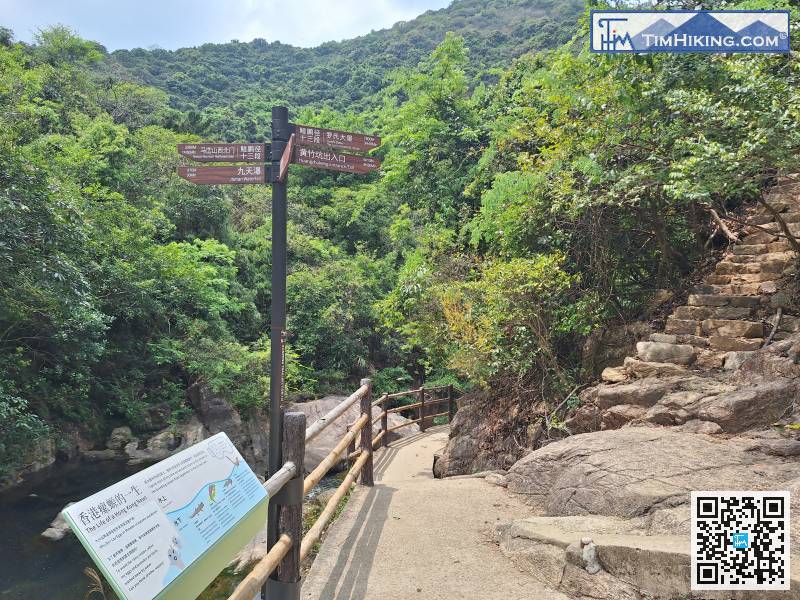 於涼亭小休過後，便繼續上山，先是石砌步道，