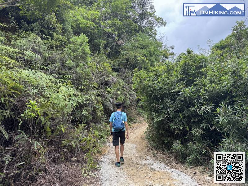 The mountain trail at the entrance is clear,