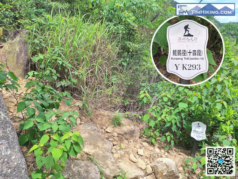 In the hidden place on the right side of the top of the big rock slope, you can find distance post YK293.