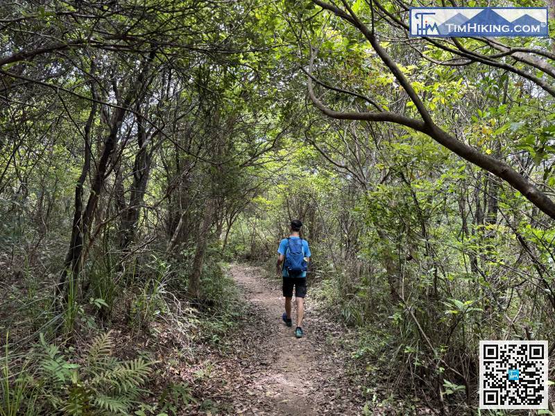 The mountain trail is as easy to walk as a Country Trail.
