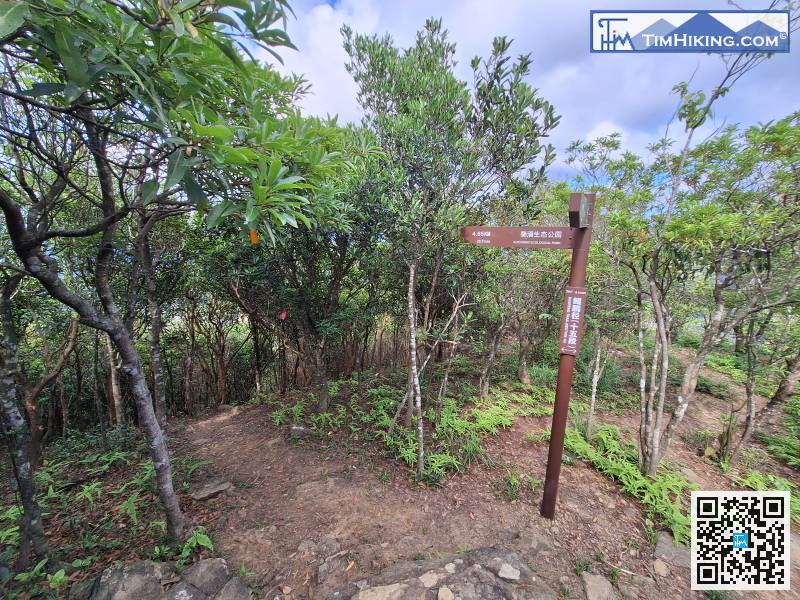 Go to the next fork in the road and keep left to go down the mountain.