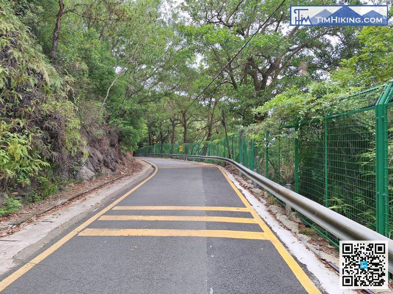 接下來，只有馬路沒有行人路，