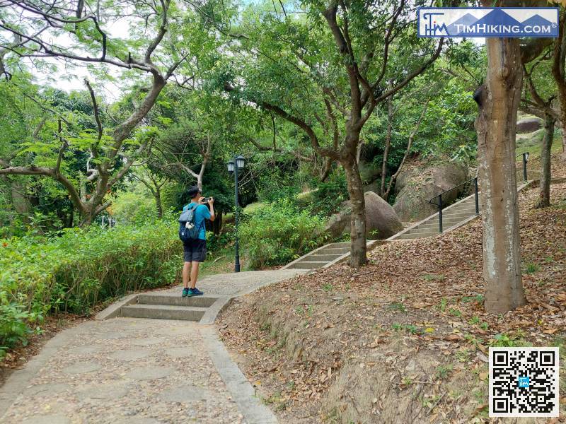 Entering the mountain trail,