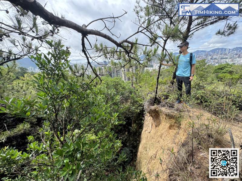 Beacon Hill Gully is quite deep, so don't walk too close to the cliff.