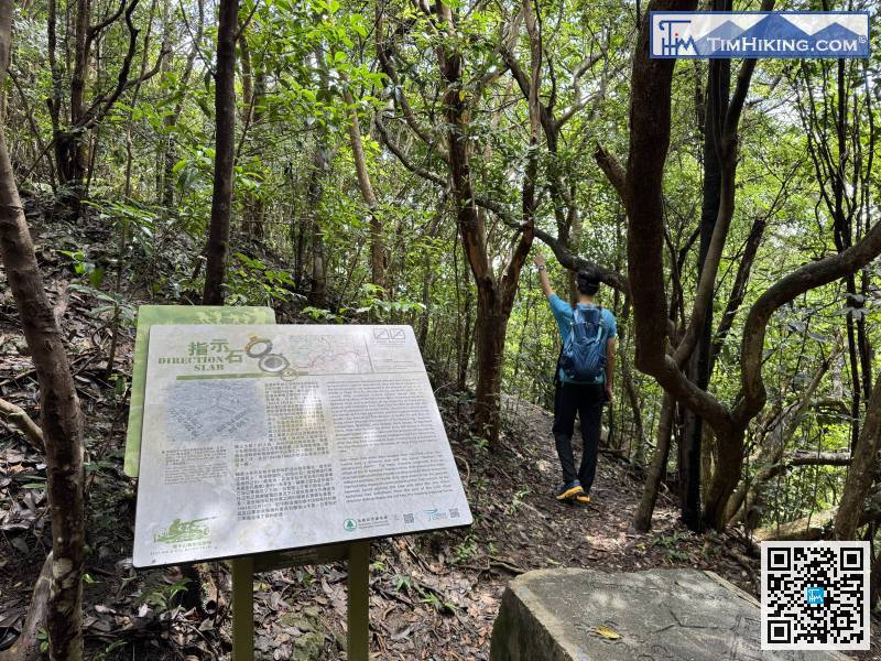 Siu Lung Path is a very niche route to and from Lion Rock.