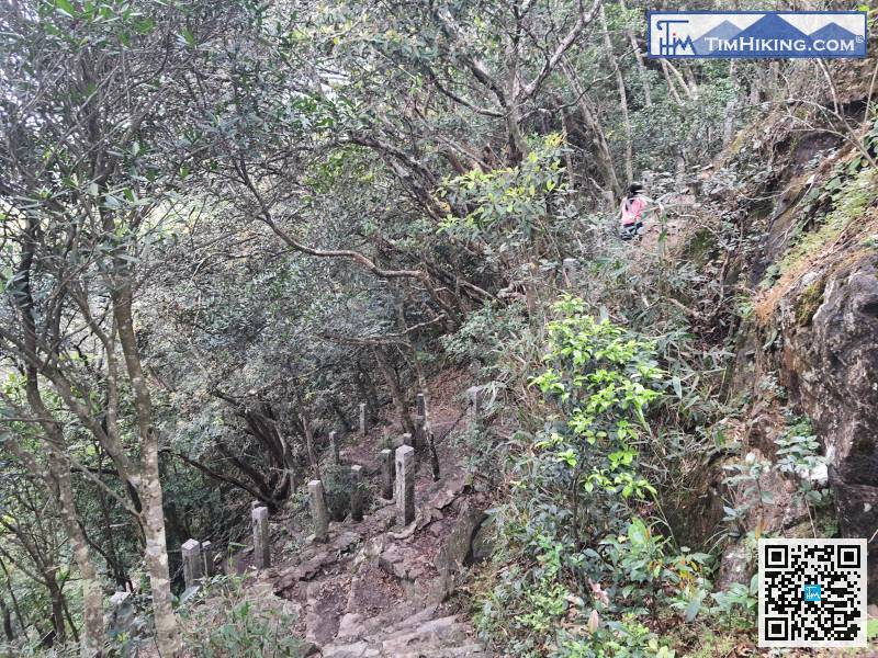 接下来，尽管往下走，