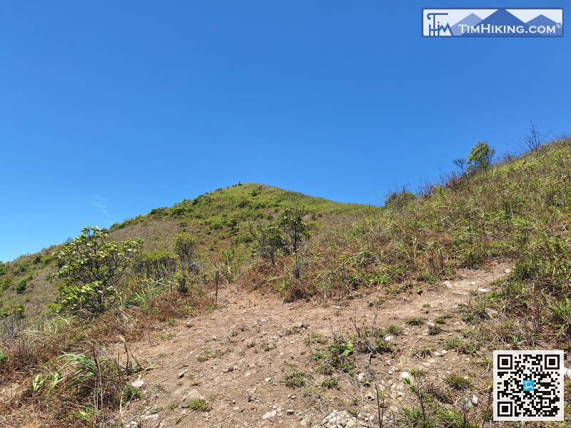 去到一個不知名的分岔路口，