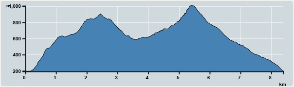 攀升︰1,316米　　下降︰1,296米　　最高︰1,003米　　最低︰193米<br><p class='smallfont'>海拔高度值只供參考 誤差約是30米內