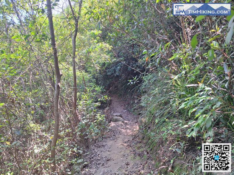 If you keep going up 