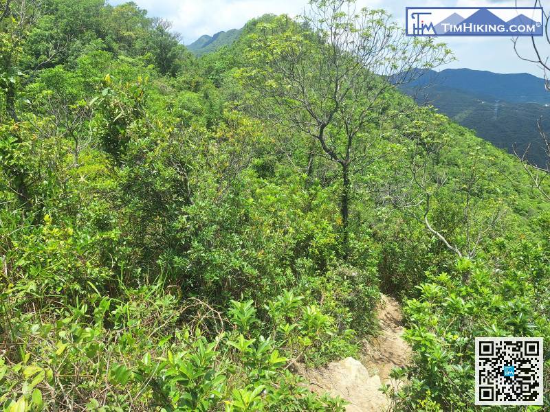 After a short break, we continued to move forward