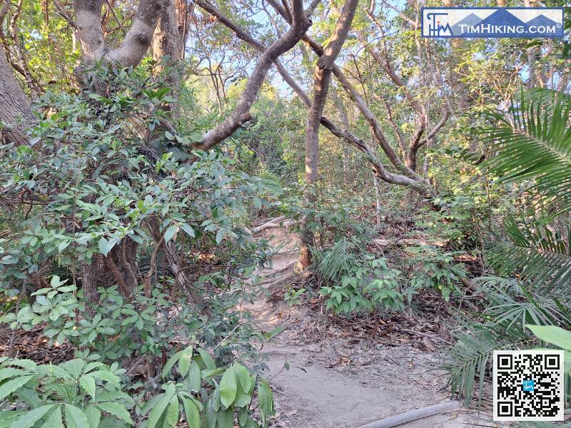 大约行5分钟，来到一个明显的分岔路口，