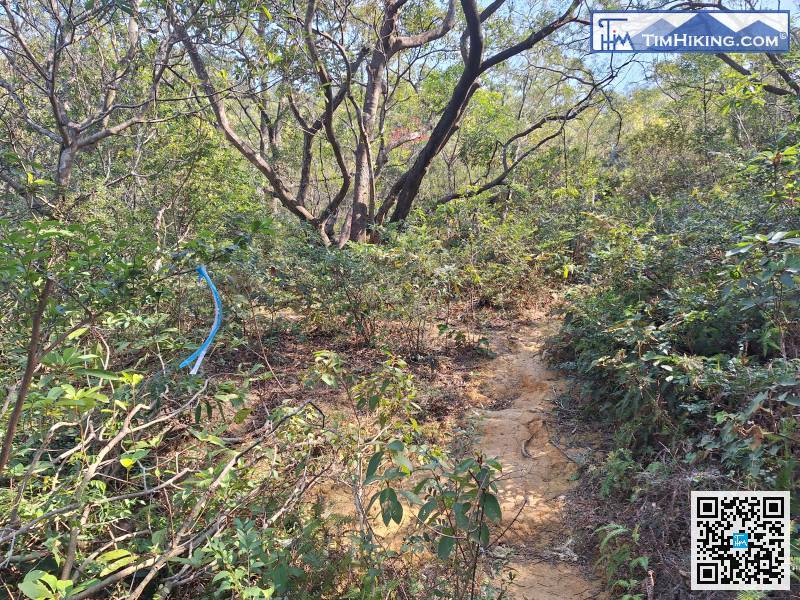 從儲物室的右邊，可看到一條山徑。