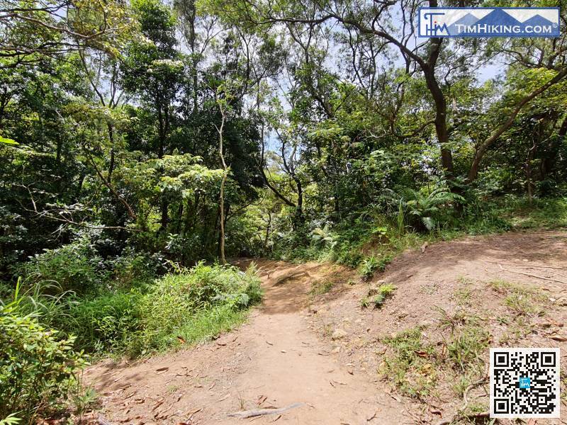 Walk along the clear mountain trail, go to a place where there is a small piece of rotten land,