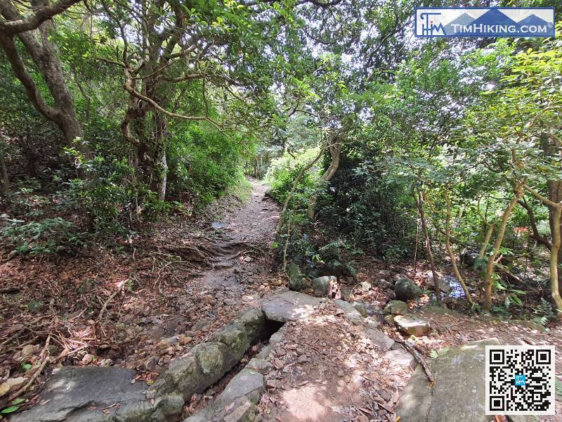 After crossing a small catchwater,