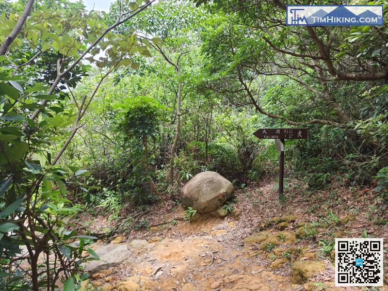 There is still 2.5km from Tai Miu