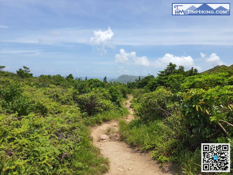 Continue along the country trail, it starts downhill.