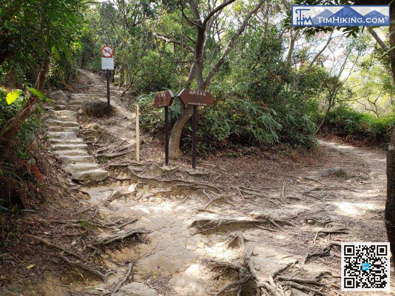 部分山径与越野单车径重叠，部分则分开，