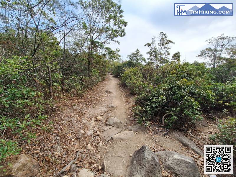 尾段都是钓鱼翁郊径，