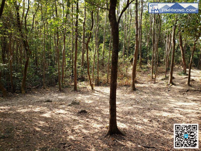 落山前往大庙的方向继续行，