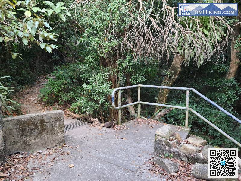 Come to an important bifurcation,